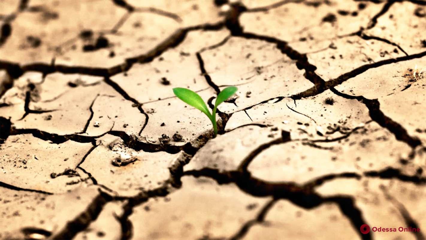 Всемирный день борьбы с засухой: эксперт об изменениях климата Одесского региона