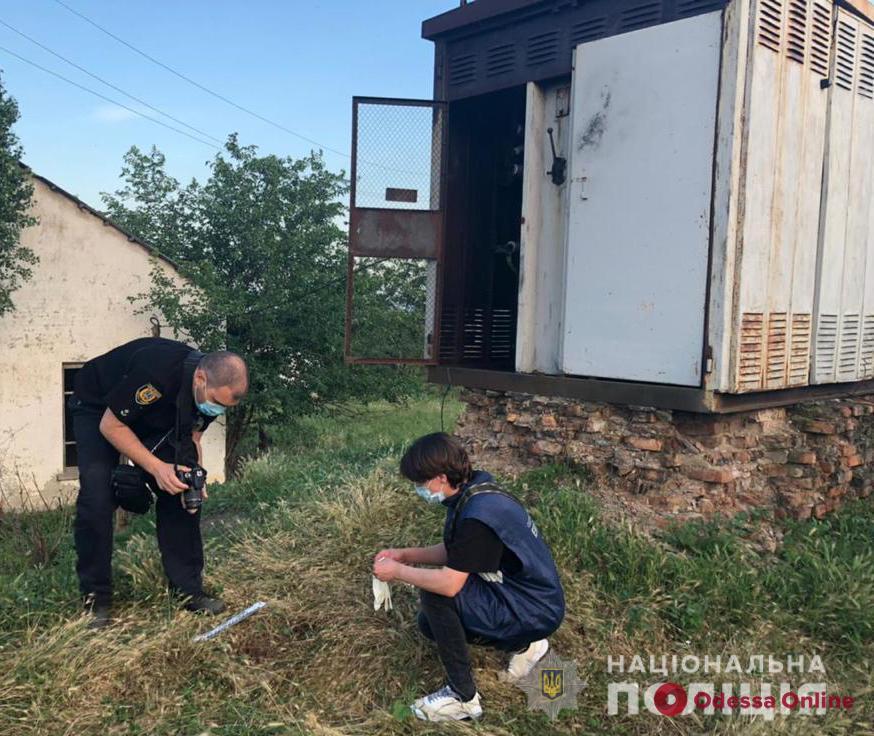 В Одесской области пятилетний мальчик полез в трансформаторную будку и погиб от удара током