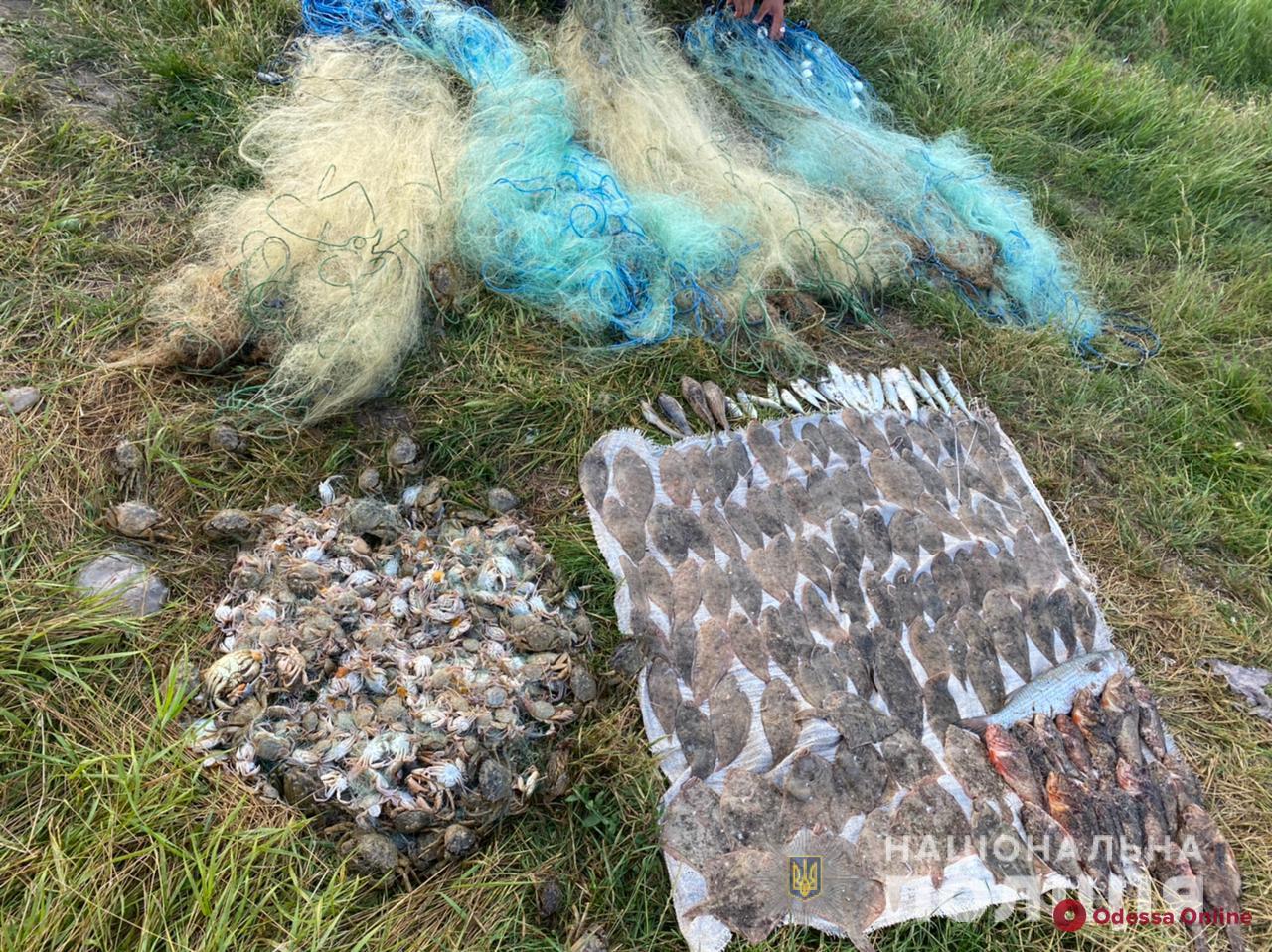 В Одесской области поймали браконьера, который наловил рыбы и крабов на 100 тысяч