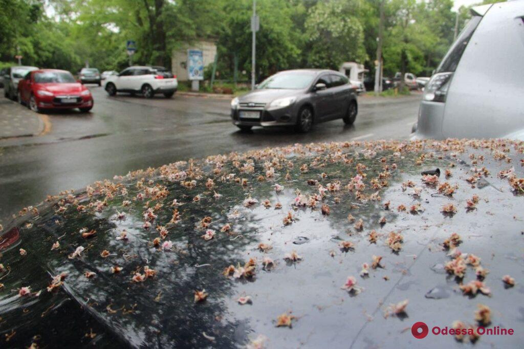 Первый день лета в Одессе: идет дождь и довольно прохладно (фоторепортаж)