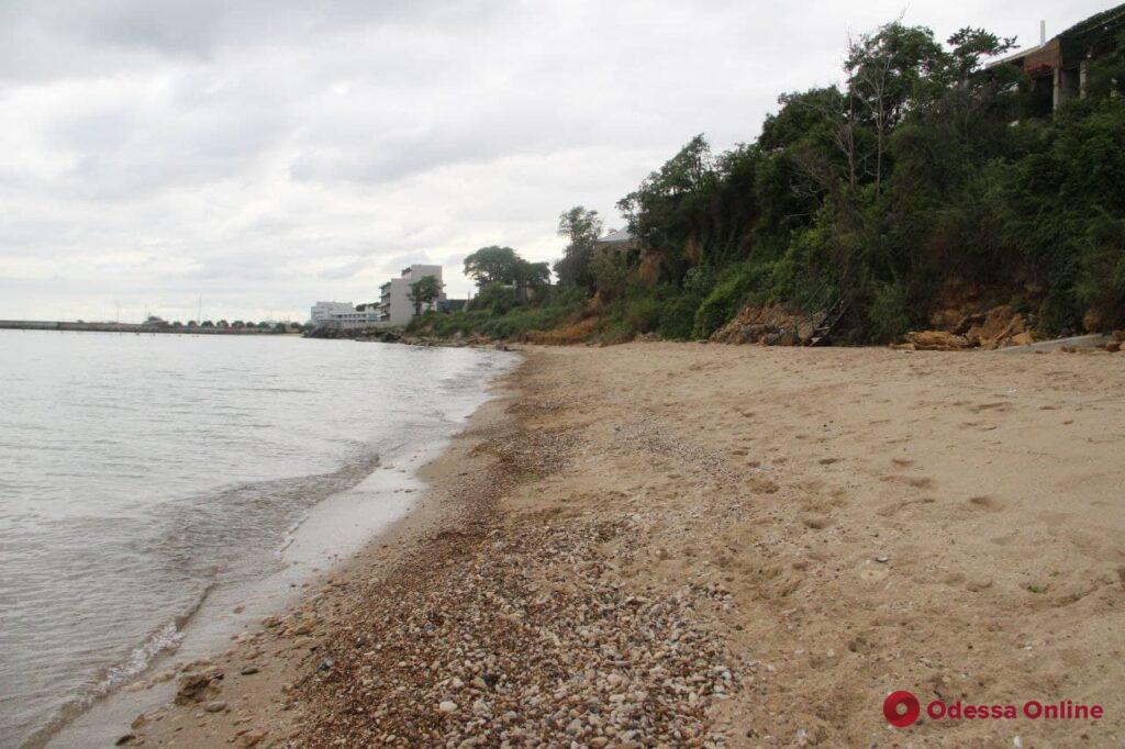 Заброшенный пляж в Черноморке: оползни, развалины и заросли (фоторепортаж)