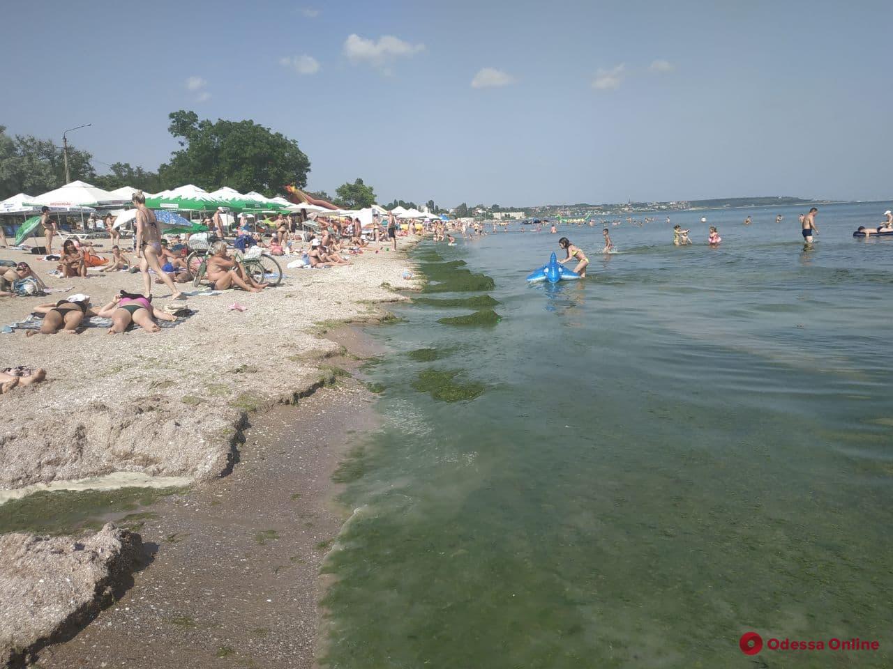 В Одессе и области морская вода соответствует гигиеническим требованиям, — областной центр контроля и профилактики болезней МОЗ