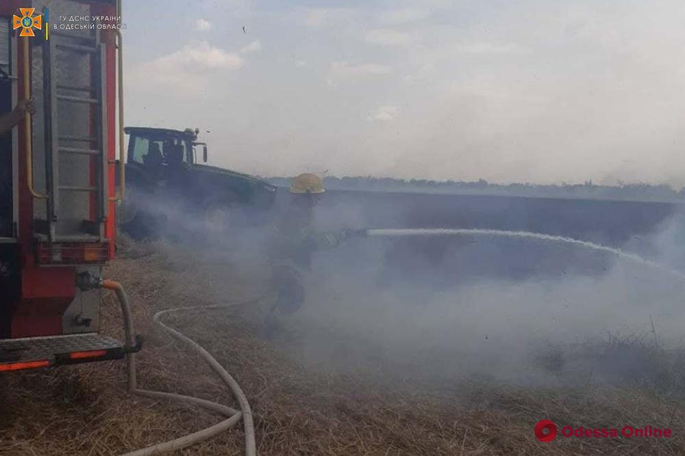 В Одесской области из-за удара молнии загорелось пшеничное поле