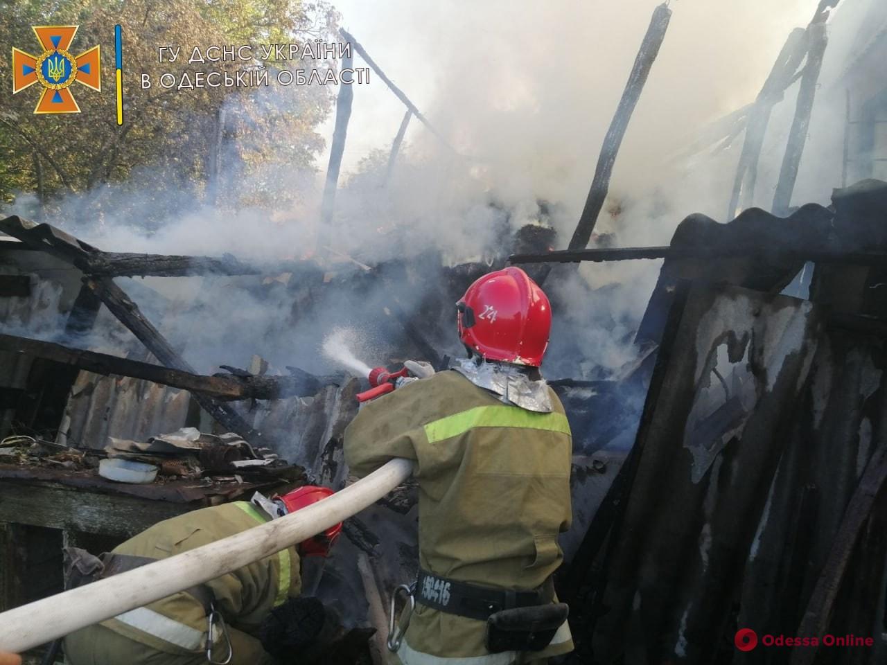 Тушили больше трех часов: в Одесской области дотла сгорело сенохранилище