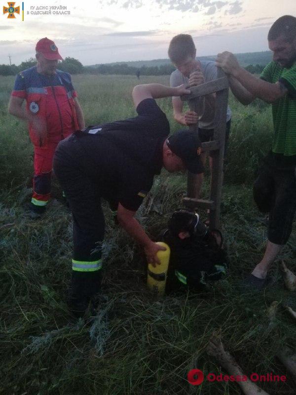 В Одесской области в 10-метровый колодец с мусором упали отец и его девятилетний сын – оба погибли