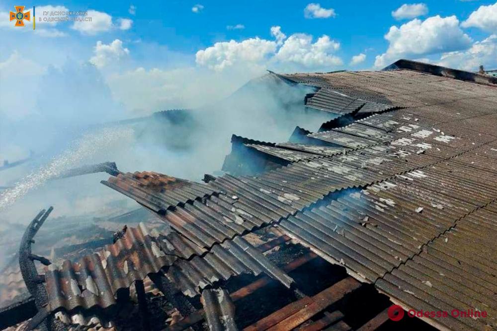 В Одесской области сгорело заброшенное здание возле мясокомбината (фото, видео)
