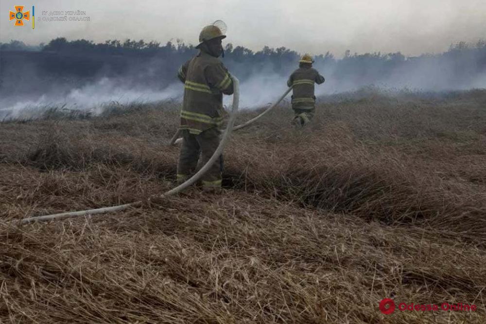 В Одесской области из-за удара молнии загорелось пшеничное поле