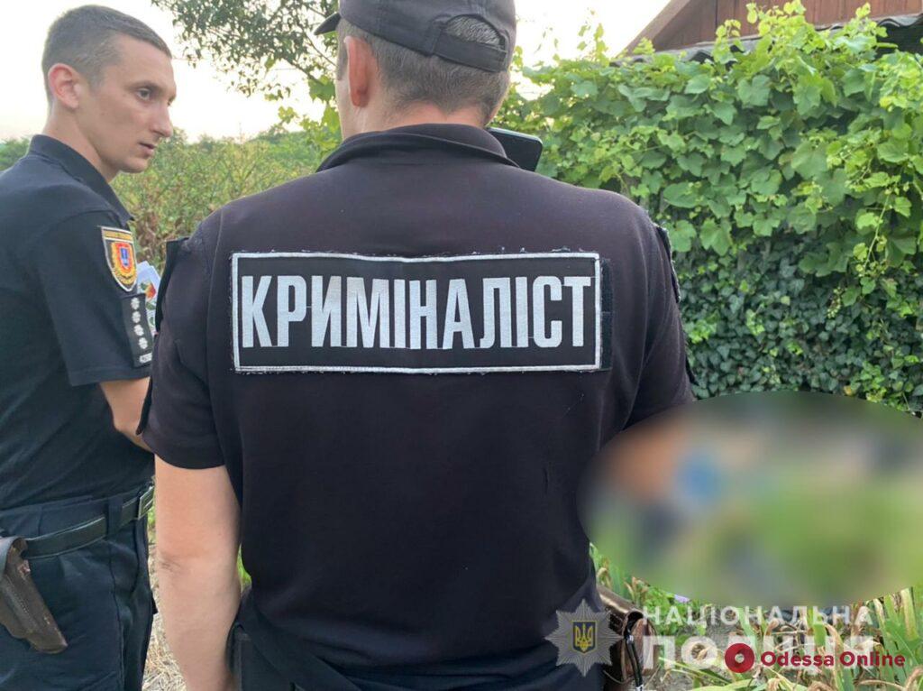 Житель Подольского района застрелил соседа, который напал на него с топором