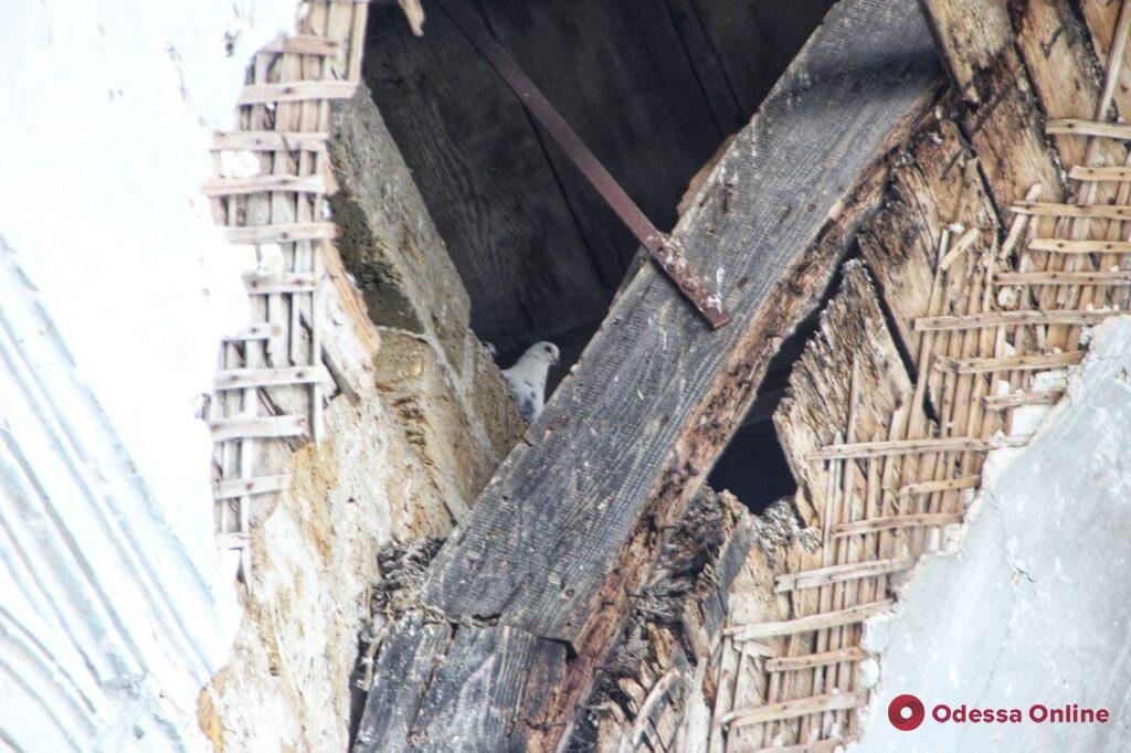 Груды камней и заросли бурьяна: развалины старинной кирхи под Одессой (фоторепортаж)