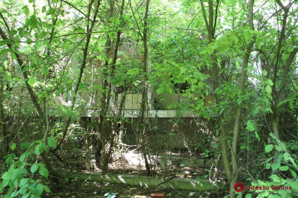 Призрак «Красной гвардии»: бывший детский лагерь в Черноморке превратился в руины (фоторепортаж)