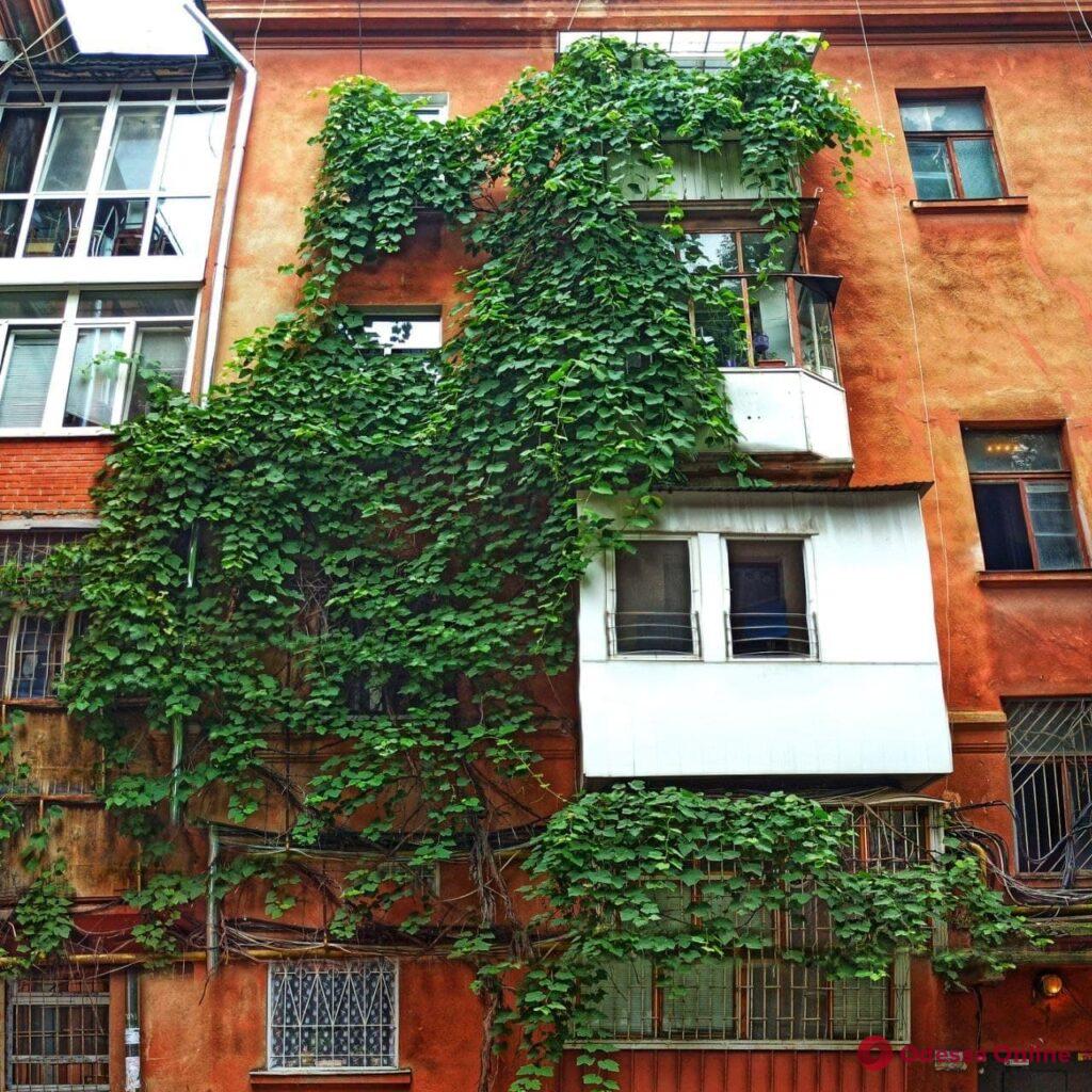 Зеленый городской декор: вертикальные сады и «фантастические персонажи» (фотозарисовка)