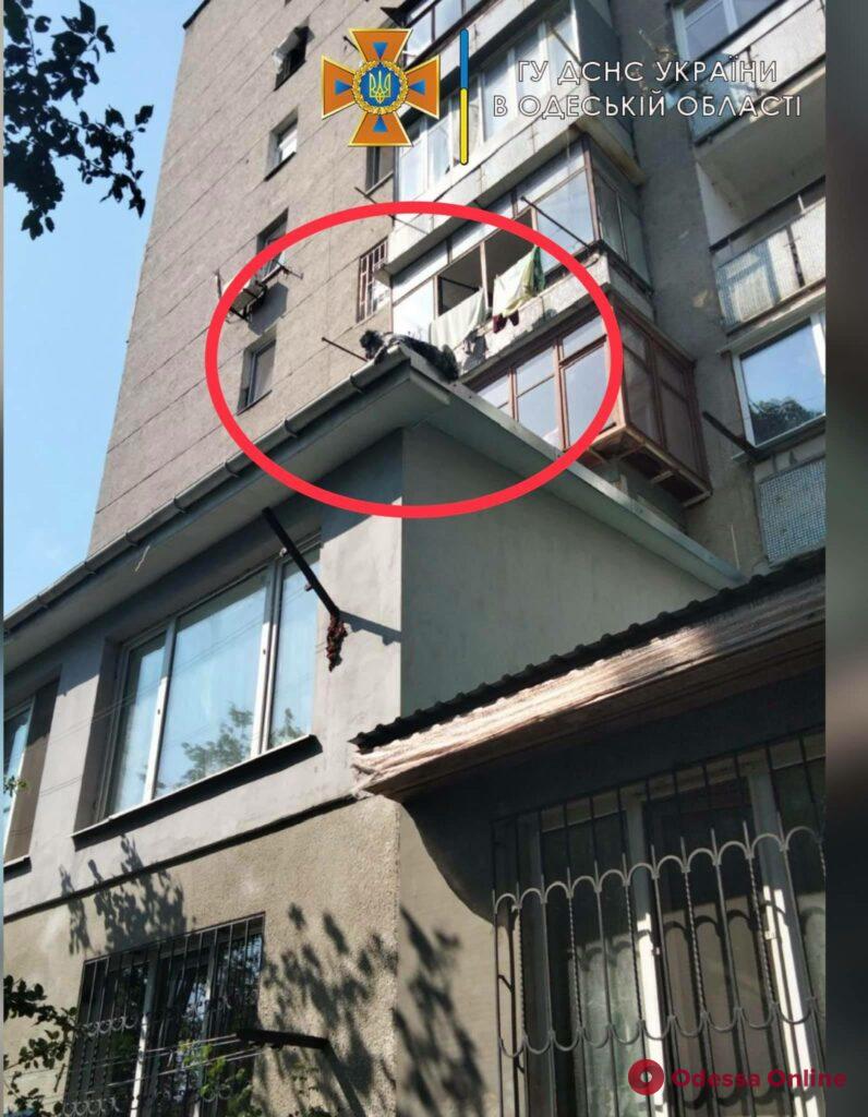 На Таирова спасатели сняли с крыши балкона собаку, которая выпала с 6-го этажа