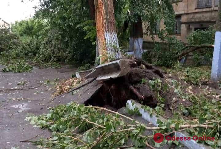 Одесская область: на Тарутино обрушился мощный ураган (фото)