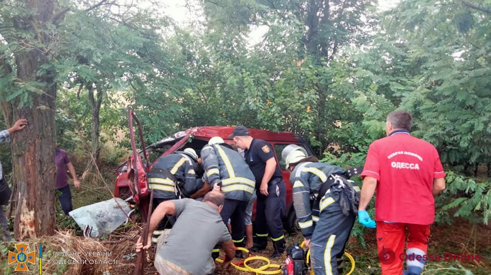 В Одесской области минивэн врезался в дерево – есть пострадавшие