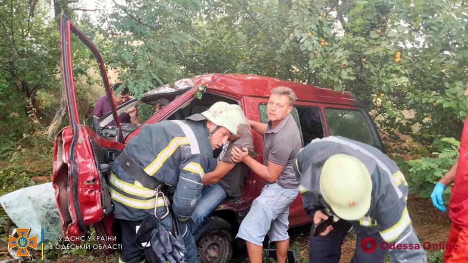 В Одесской области минивэн врезался в дерево – есть пострадавшие