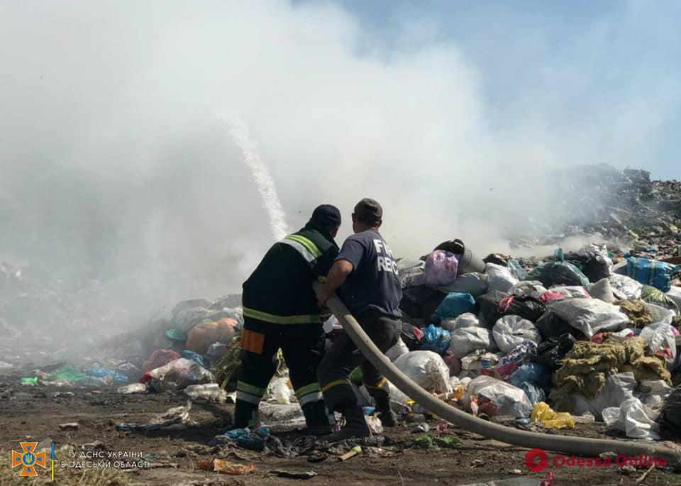 В Одесской области горела свалка (фото, видео)
