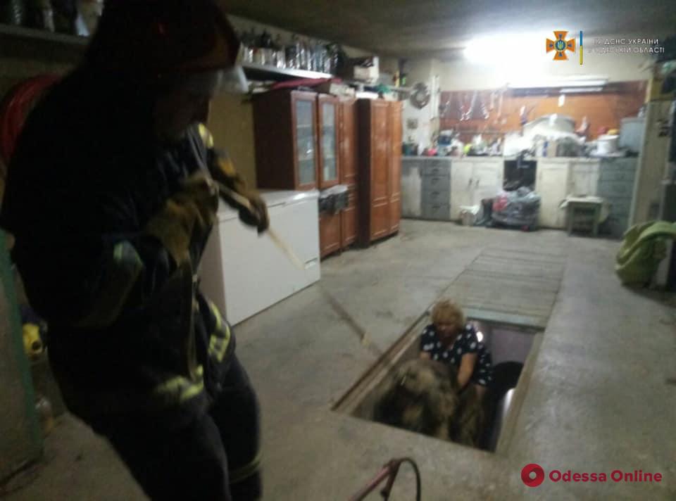 В Измаиле спасатели доставали собаку, которая провалилась в подвал