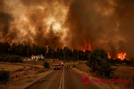 Украинские спасатели прибыли в охваченную огнем Грецию для борьбы с масштабными лесными пожарами