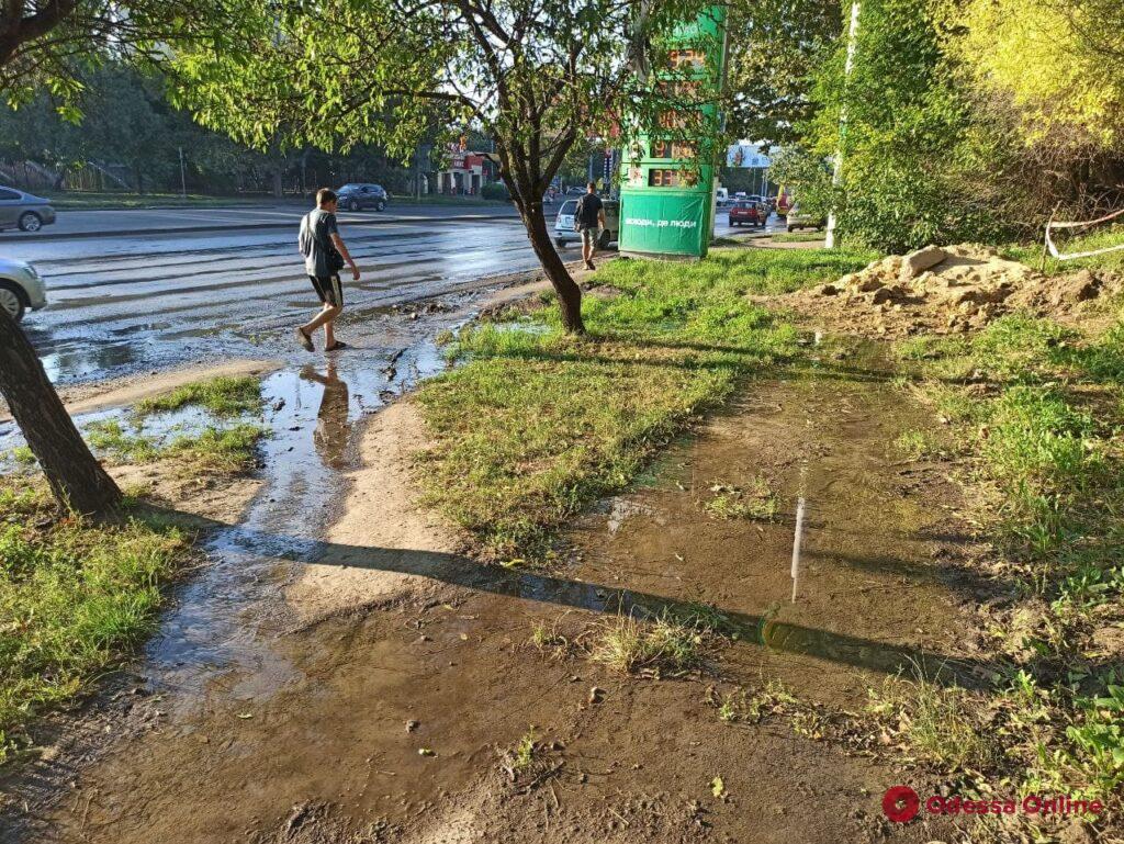 «Балковское озеро»: на многострадальной улице появился новый водоем (фото)