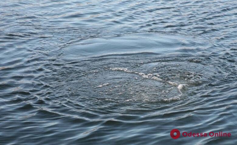 В Одесской области в пруду утонул мужчина