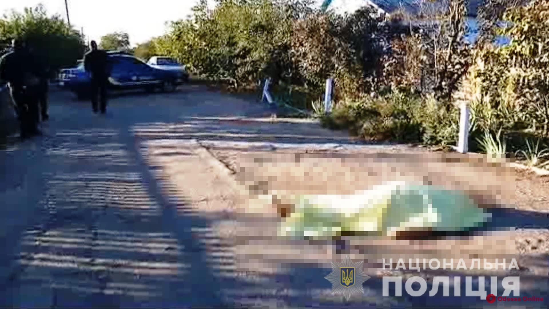 Житель Одесской области жестоко убил односельчанку