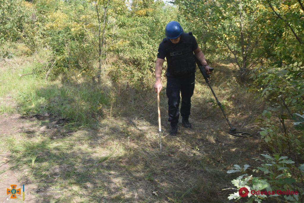 Более 300 единиц: в Одесской области обнаружили артснаряды времен Второй мировой (фото, видео)