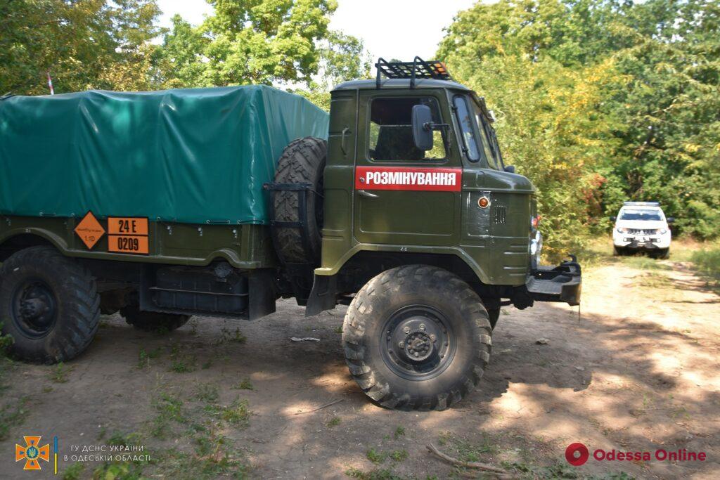 Более 300 единиц: в Одесской области обнаружили артснаряды времен Второй мировой (фото, видео)