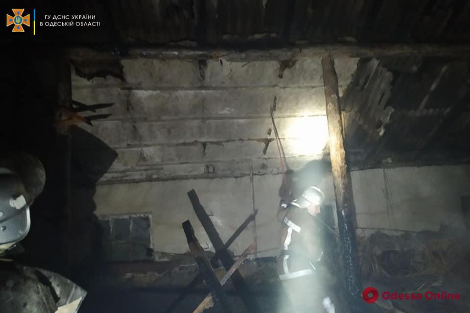 В Одесской области на пепелище сгоревшей овчарни нашли труп