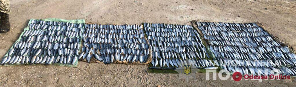 Ущерб на два миллиона: в Одесской области поймали браконьеров с большим уловом (фото)