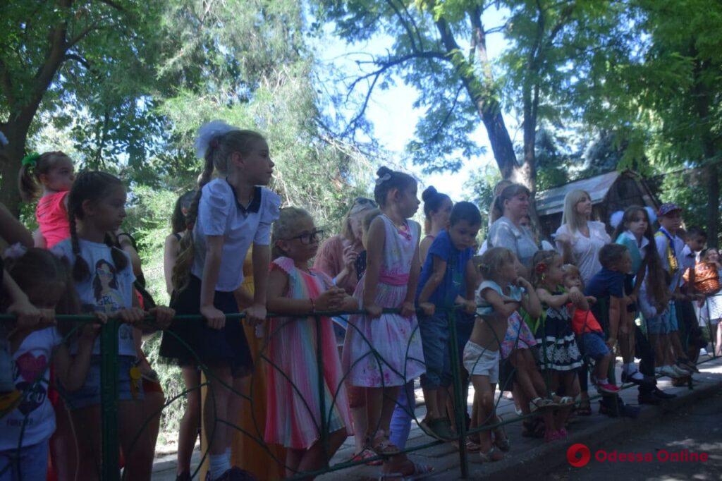 Кормили енотов и делали зарядку: в Одесском зоопарке отпраздновали День знаний