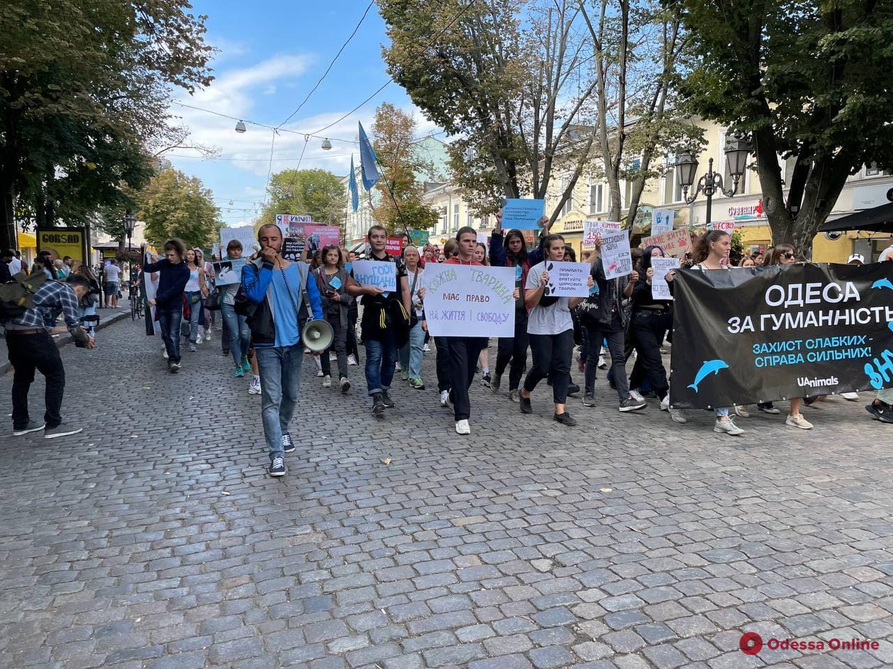 «Защита слабых — дело сильных»: в Одессе прошел марш против эксплуатации и жестокого обращения с животными (фото, видео)