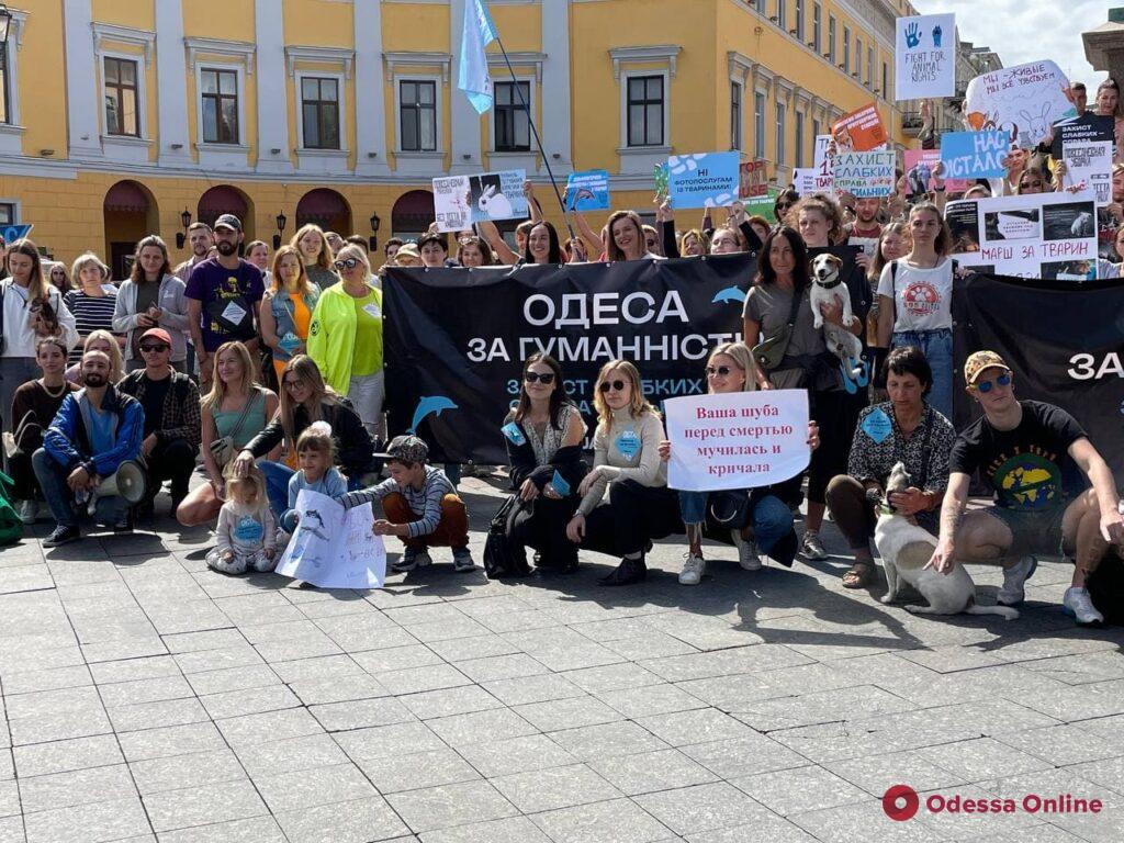 «Защита слабых — дело сильных»: в Одессе прошел марш против эксплуатации и жестокого обращения с животными (фото, видео)