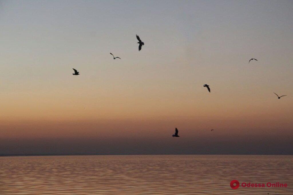 «Красный шар на горизонте»: осенний закат над Днестровским лиманом (фоторепортаж)