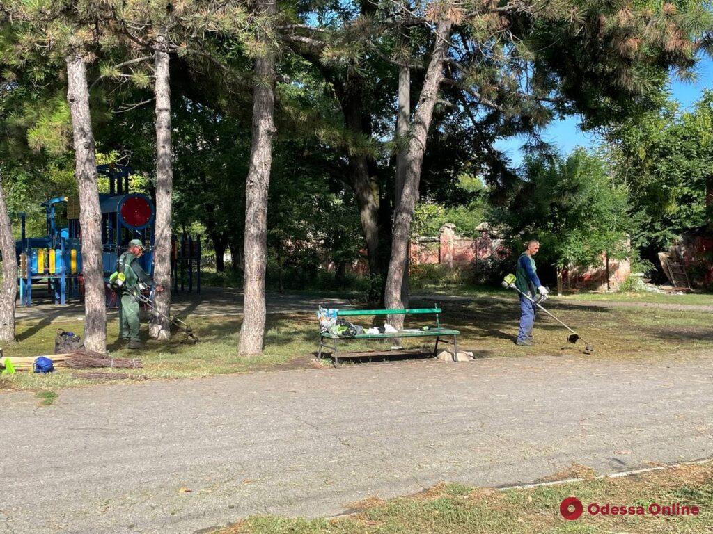 В парке Савицкого устроили масштабный субботник (фото)