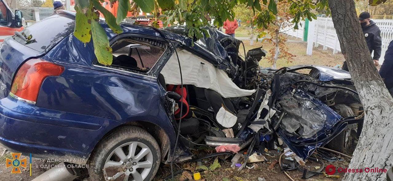 В Одесской области легковушка влетела в дерево – водитель погиб
