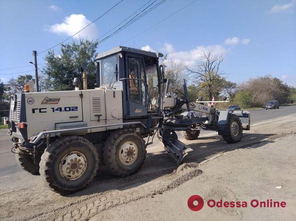 16 тысяч кустарников спиреи: в Одессе обустроят въезды в город