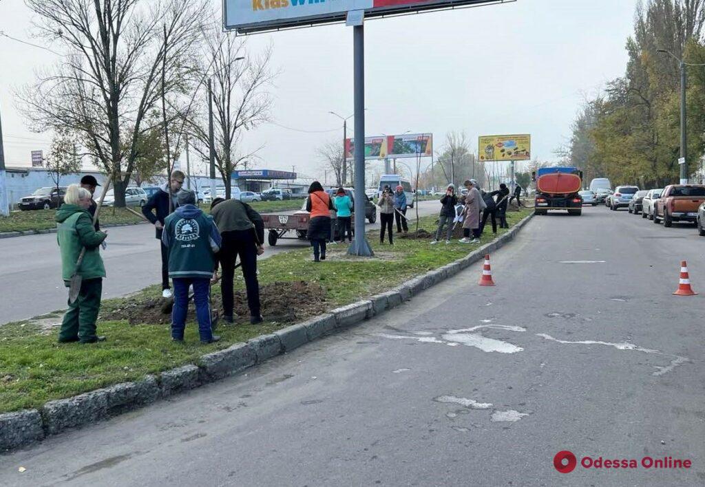 В Одессе высадили почти полторы сотни новых деревьев 