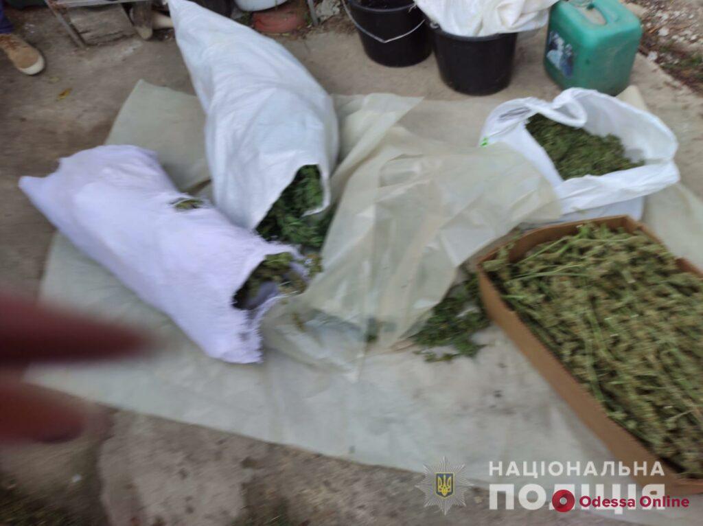 Ежемесячный оборот 200 тысяч: под Одессой отца с сыном уличили в торговле марихуаной