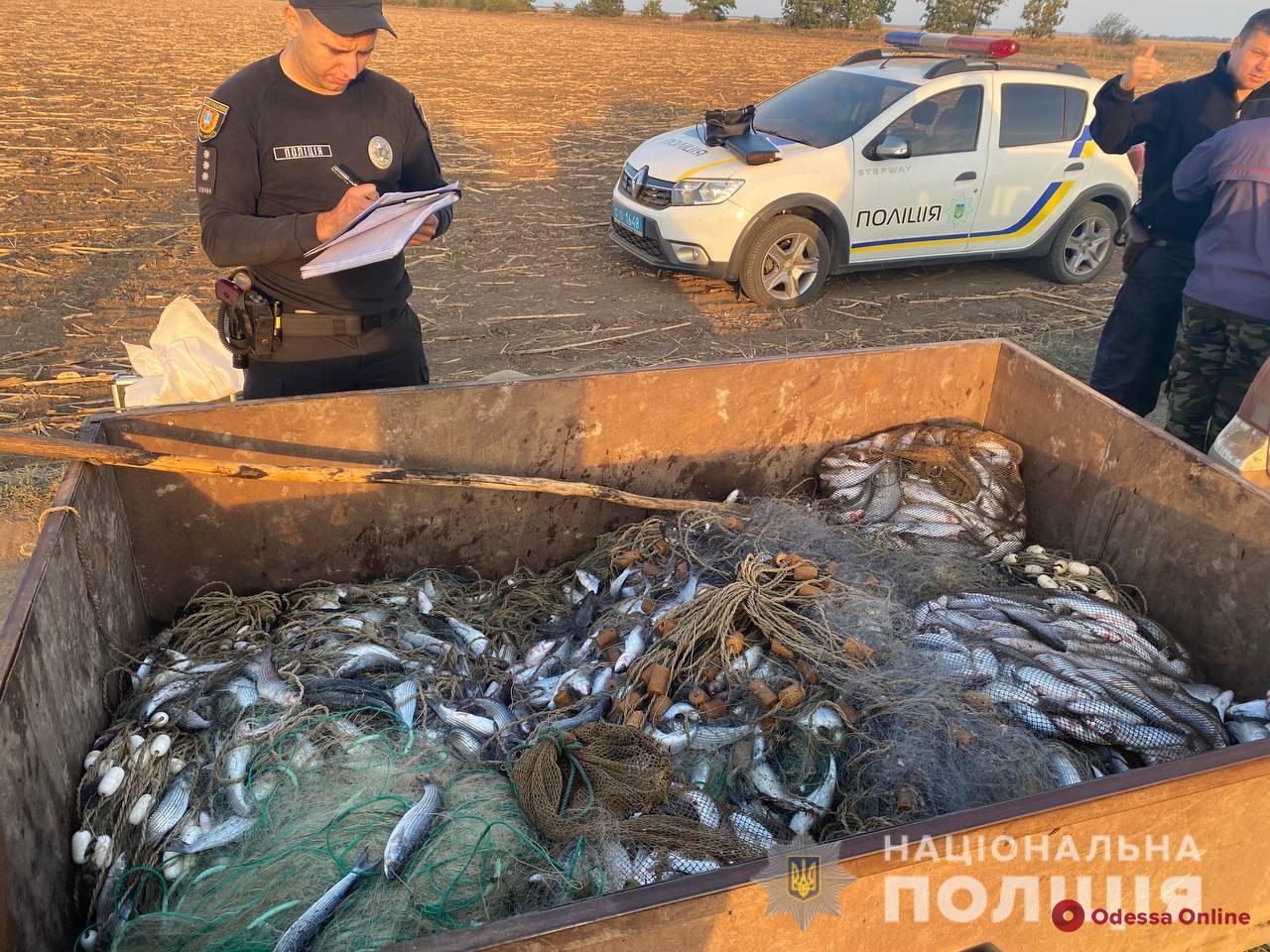 В нацпарке «Тузловские лиманы» задержали браконьеров с крупным уловом кефали