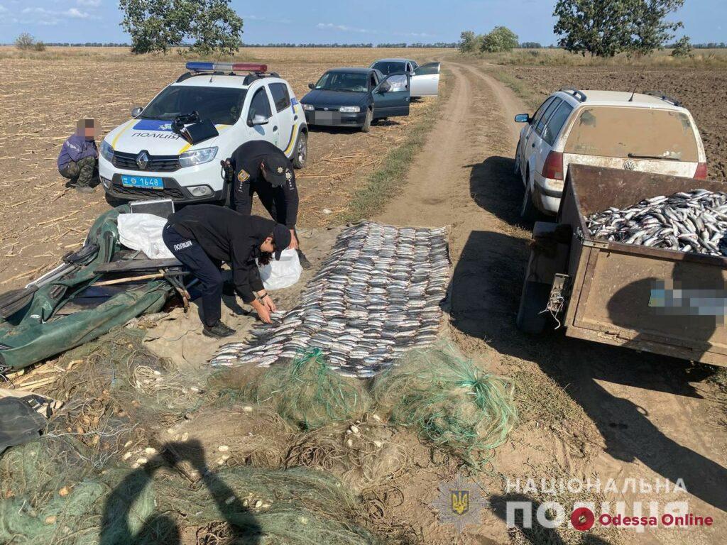 В нацпарке «Тузловские лиманы» задержали браконьеров с крупным уловом кефали