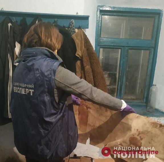 Житель Измаильского района топором проломил голову односельчанину