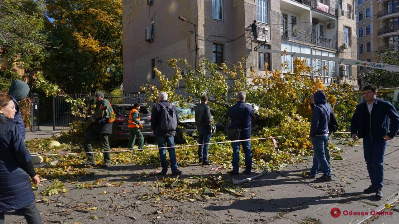 На Французском бульваре упавшее дерево придавило пять авто – пострадал мужчина (фото)