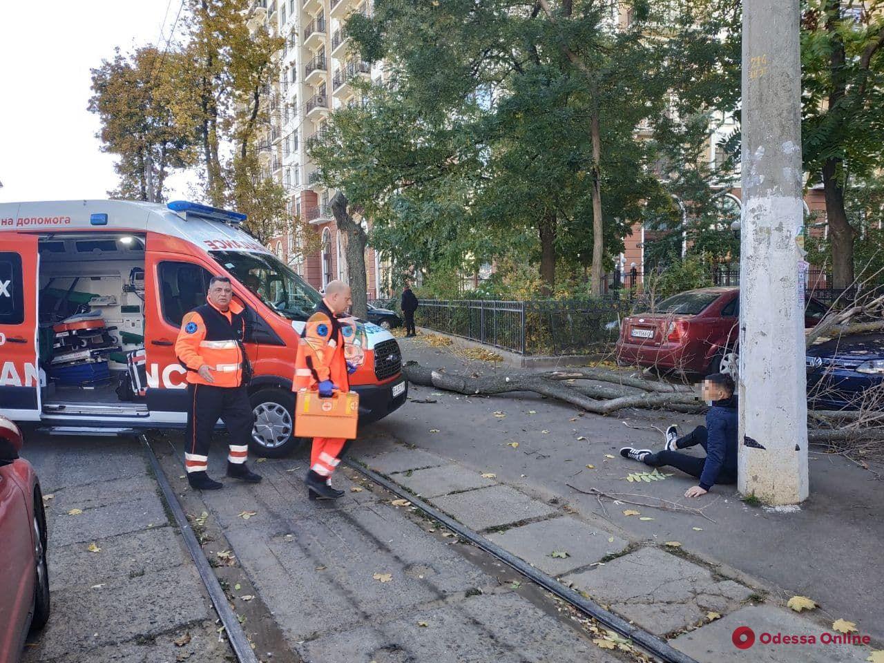 В Одессе крупная ветка упала парню на голову