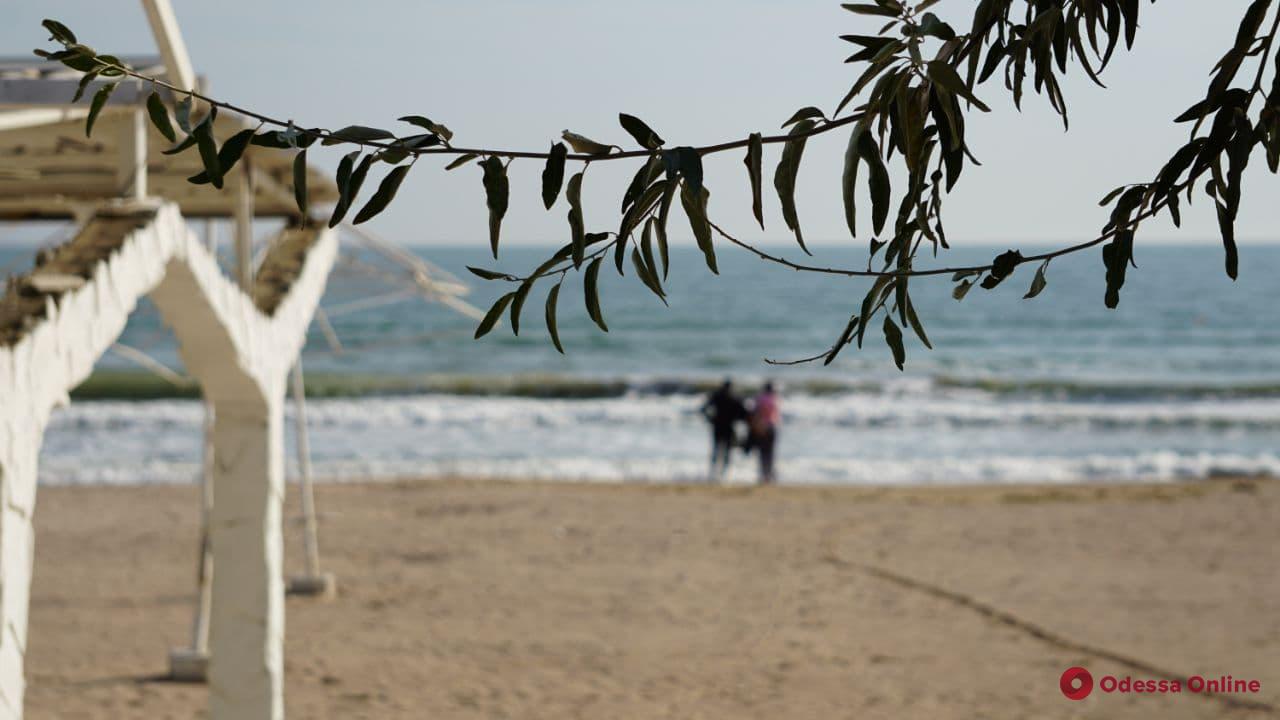 В Одессе разрабатывают проект безопасных участков на пляжах — там будут установлены защитные сетки