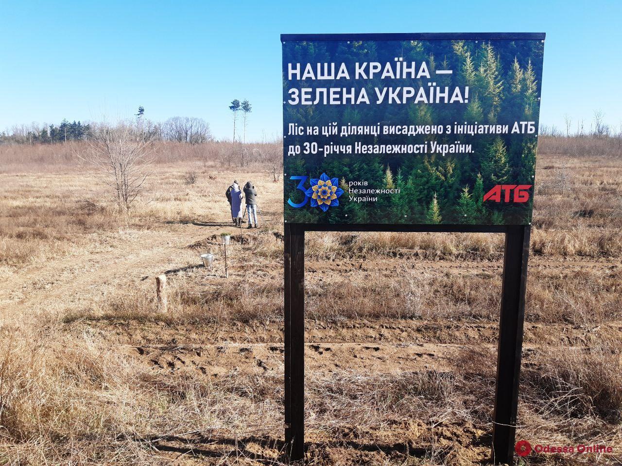 Корпорация «АТБ» высадила 45 га вместо обещанных 30, а ее руководитель Борис Марков пообещал продолжить восстановление лесов в следующем году