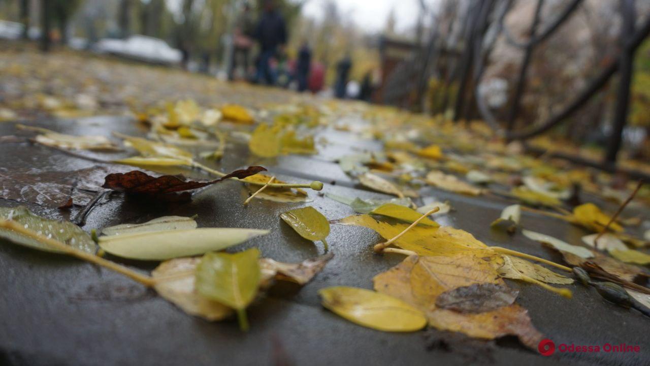 Синоптики дали прогноз погоды в Одессе на среду