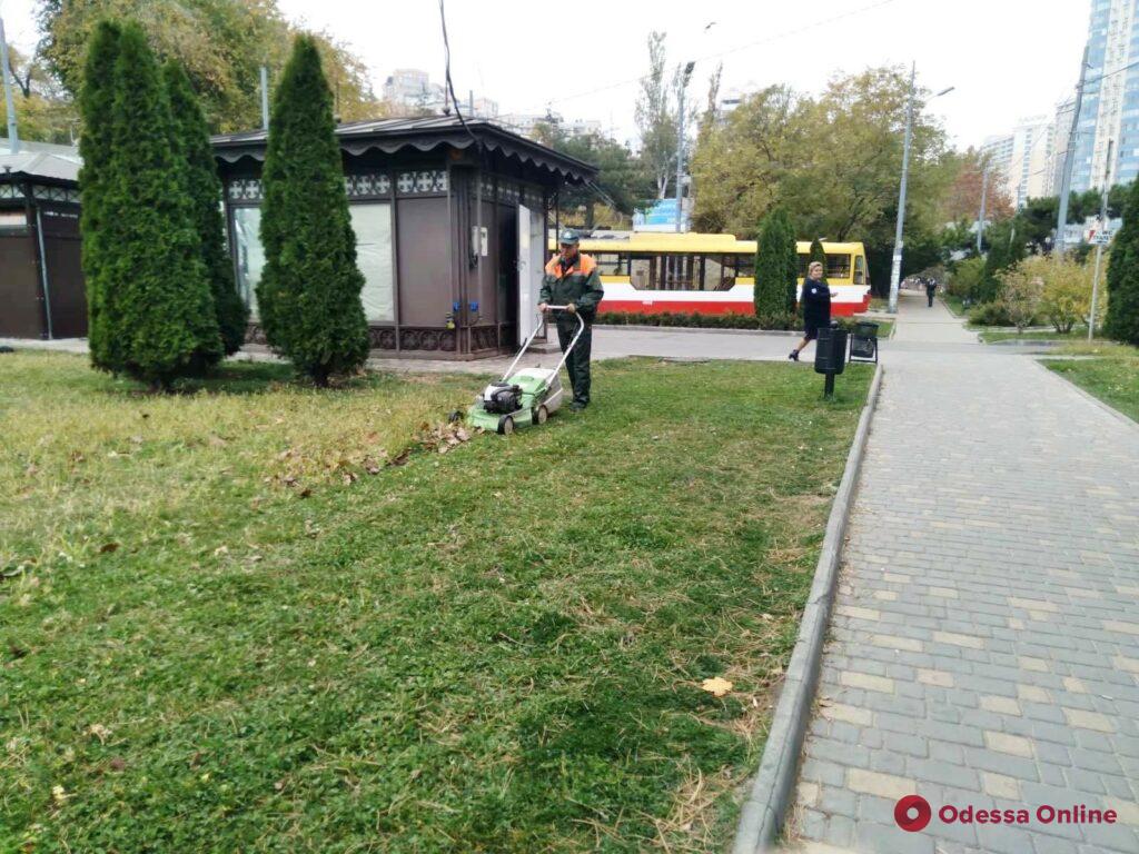 Высаживают кустарники и убирают поваленные деревья: коммунальщики занимаются озеленением Одессы