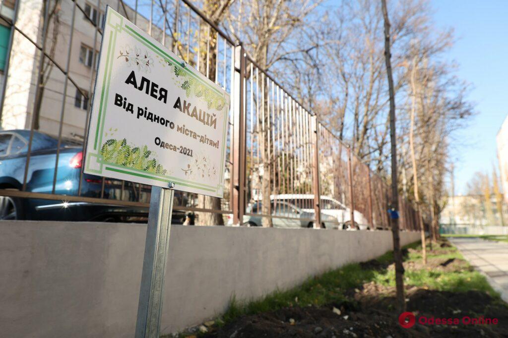 Акации вокруг «Белой акации»: возле Дворца детского творчества высадили 35 деревьев (фото)