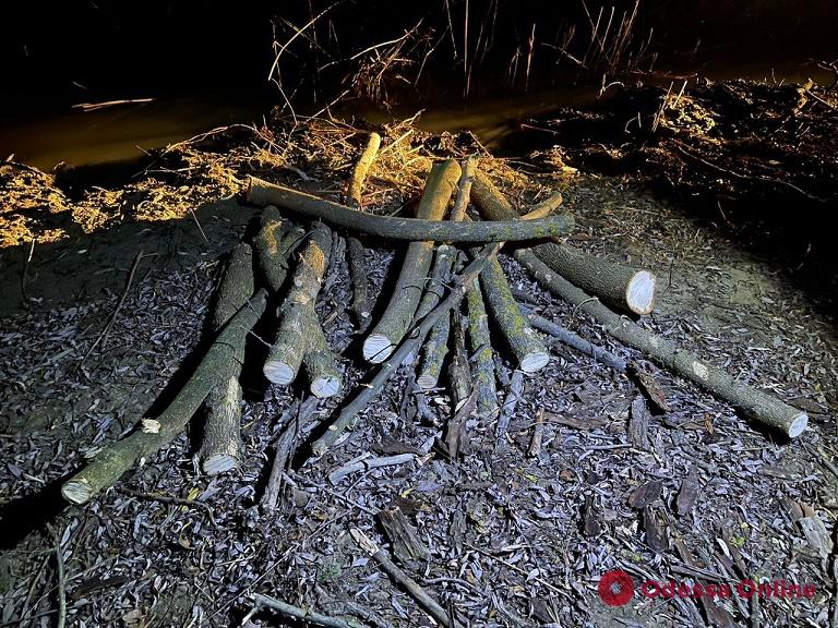 В районе Вилково пограничники поймали лесорубов-браконьеров