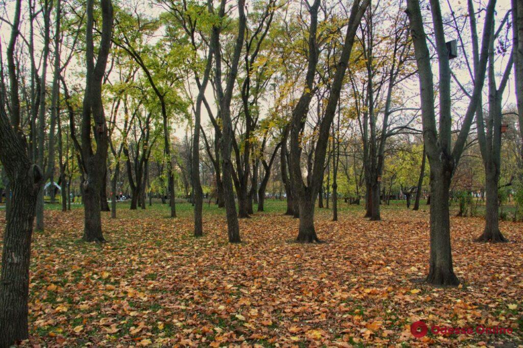 Анатомия осени: фоторепортаж из одесских парков